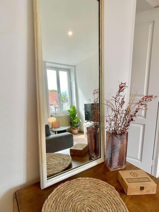 1 Appartement 3P Ideal Famille Travail Renove Lumineux Parking Gratuit Mulhouse Ngoại thất bức ảnh