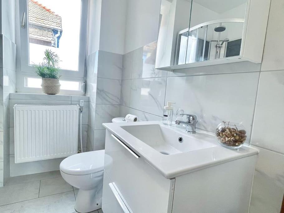 1 Appartement 3P Ideal Famille Travail Renove Lumineux Parking Gratuit Mulhouse Ngoại thất bức ảnh